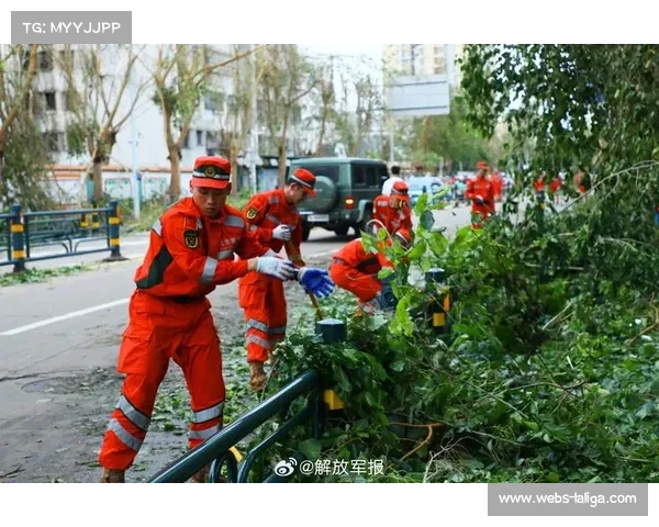 球员全员参与台风灾后救灾 赢得社会赞誉 球员全员参与台风灾后救灾 赢得社会赞誉